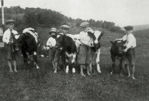Jeunes éleveurs Exposition locale en 1922